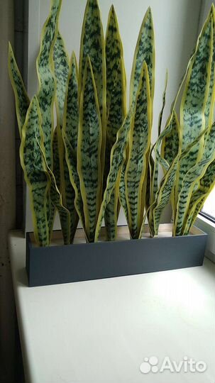 Искусственные цветы для декора