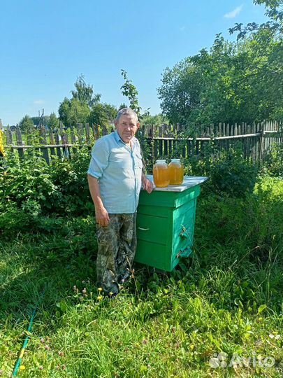 Мед, пчелы, перга, прополис
