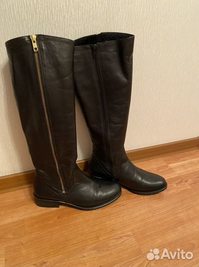 Сапоги женские