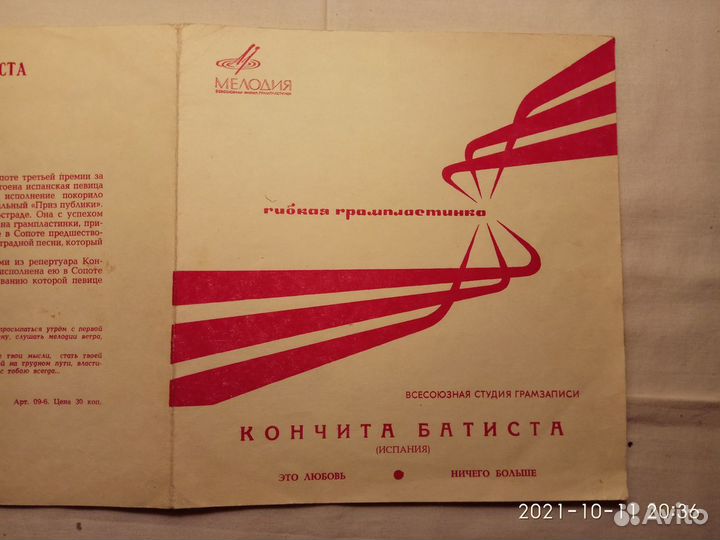 Гибкая пластинка 7