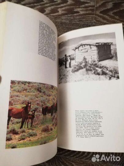 Животные герои