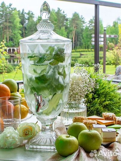 Лимонадник 