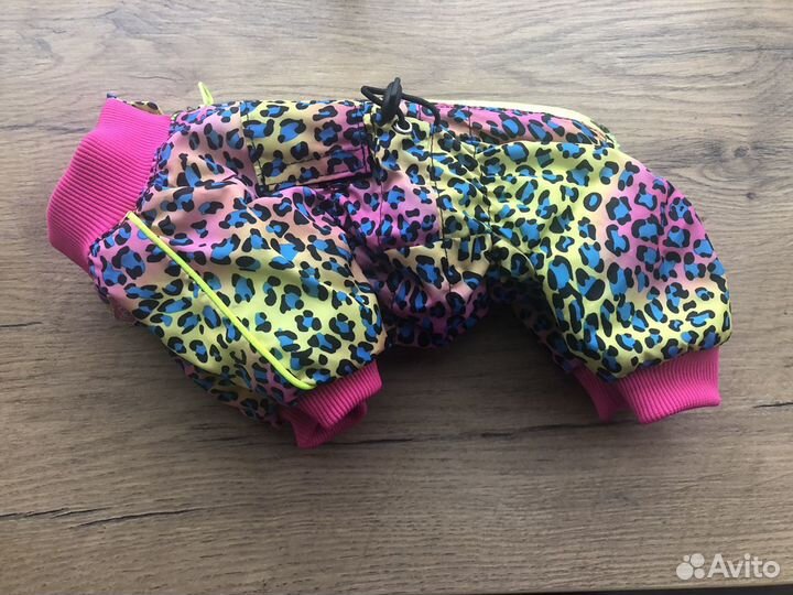 Новый зима комбинезон для мини тойчика