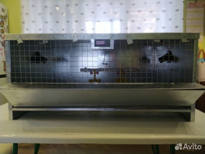 Брудер для цыплят