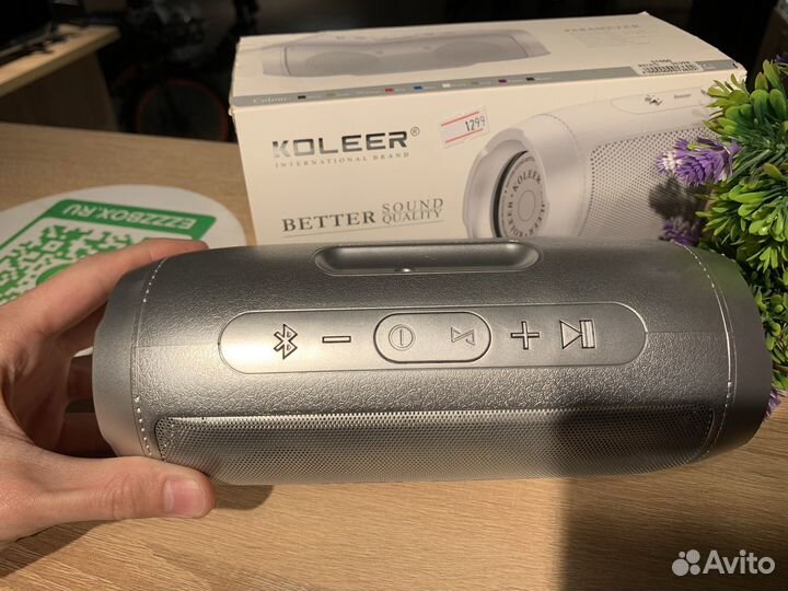 Колонка Koleer S1000