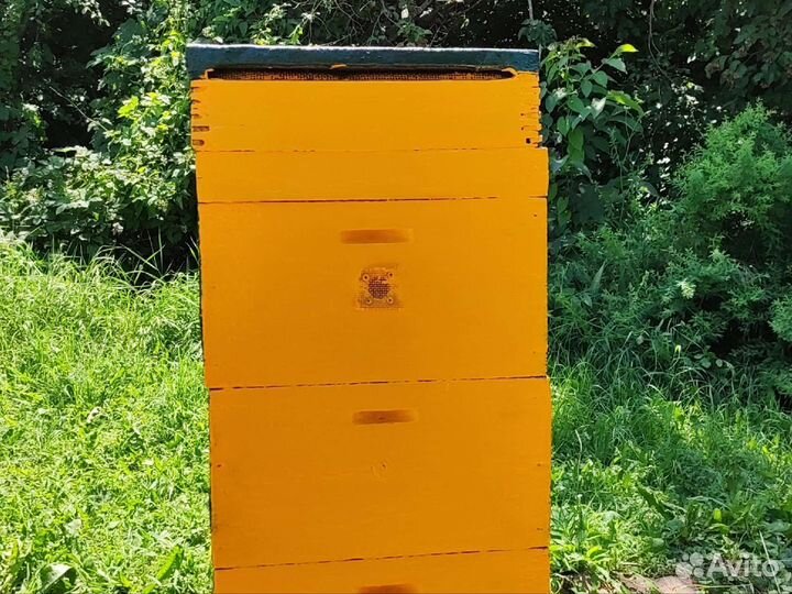 Рамки б/у. Ульи