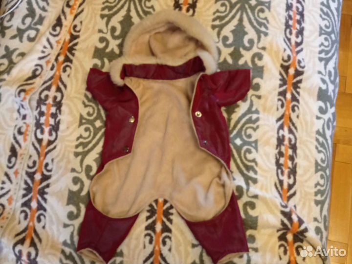 Комбинезоны для мелкой собаки