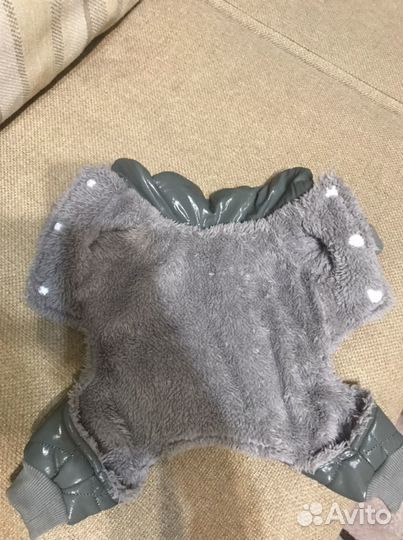 Одежда для собак