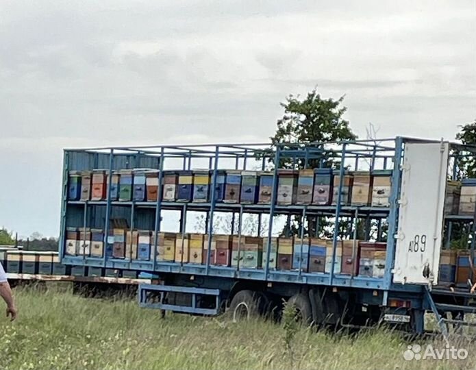 Мёд кипрей (Иван Чай )