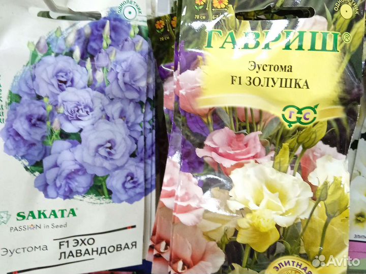 Эустома семена