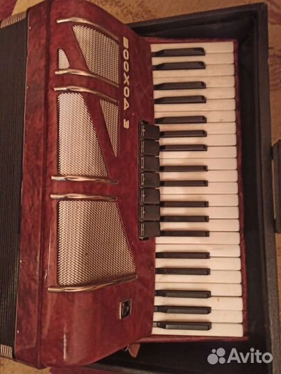 Аккордеон