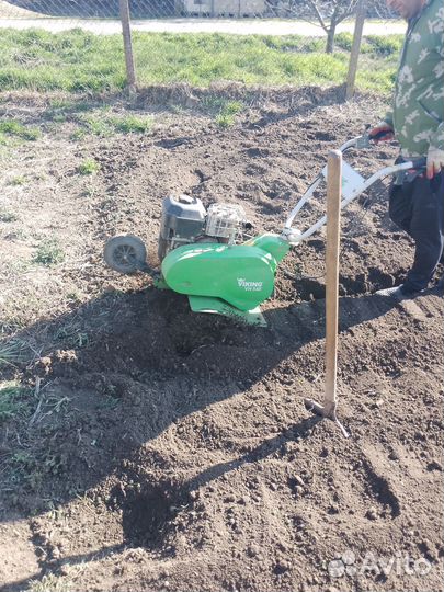 Сад и благоустройство