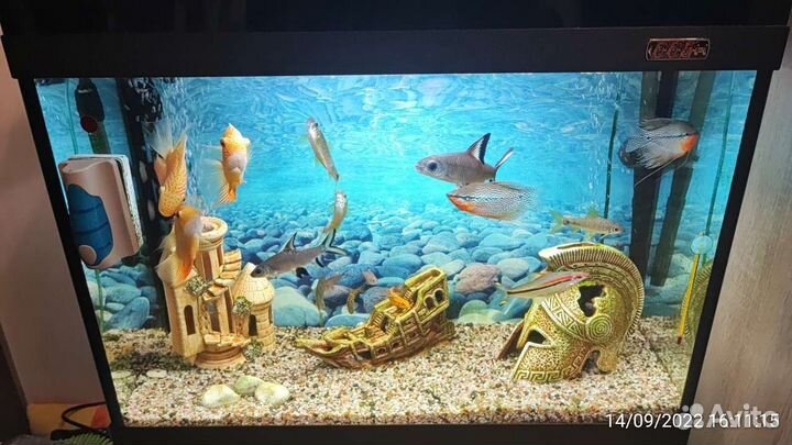 Готовый Аквариум