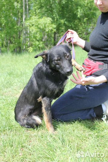 Мини Виктор