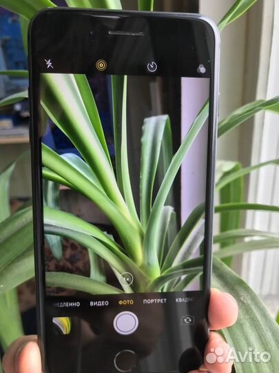 iPhone 8 Plus, 64 ГБ