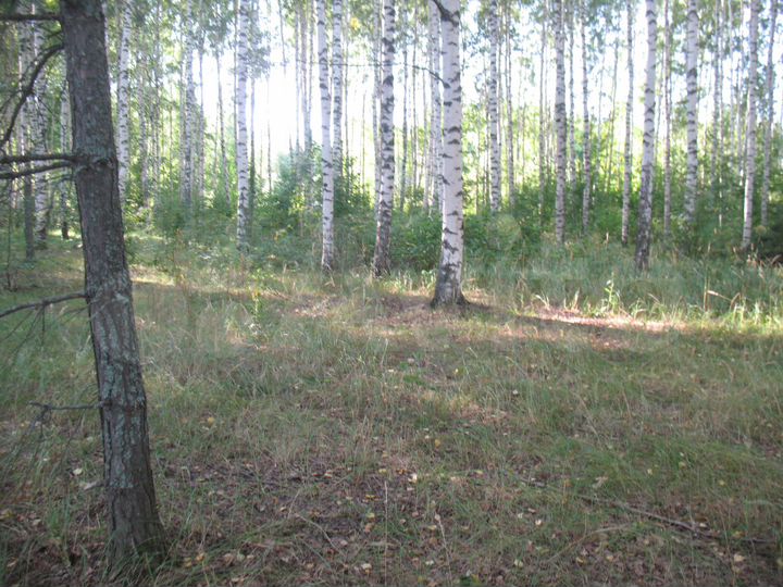 Участок 40 сот. (ИЖС)