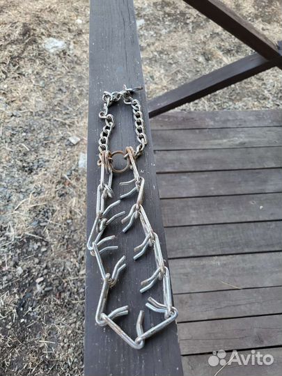 Ошейник для собак поводок намордник игрушка