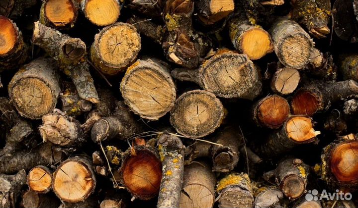 Дрова березовые колотые