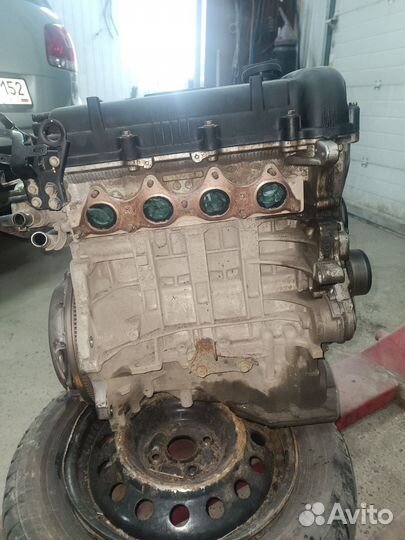 Двигатель G4FC 1600 kia Rio 3