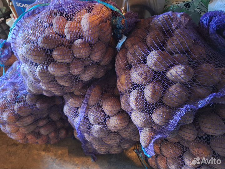 Продукты питания:картофель,свекла,морковь,капуста