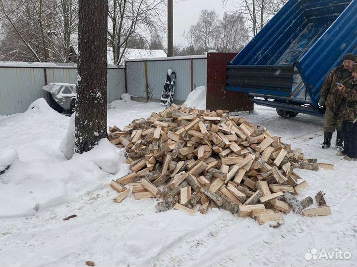 Дрова колотые березовые