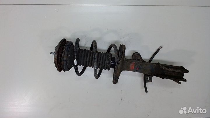 Амортизатор подвески Toyota Corolla Verso, 2008