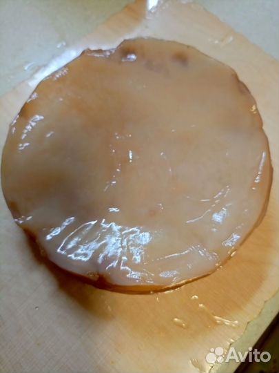 Чайный гриб