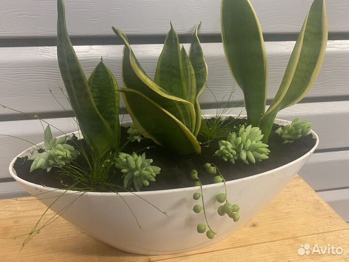 Композиция