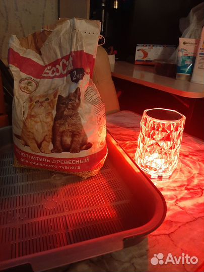 Лоток для кошек