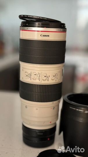 Canon EF 70-200mm f/2.8L IS II USM