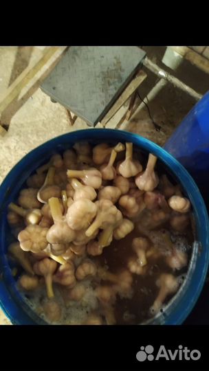 Перец острый соленый