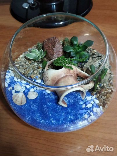 Флорариумы