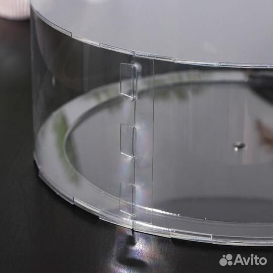 Фальшярус для торта, цилиндр, d20 см, h12 см, цвет прозрачный