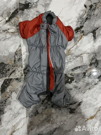 Одежда для собак средних пород