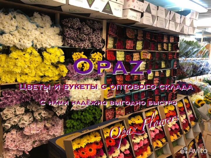 101 роза 70см Цветы Букеты Доставка