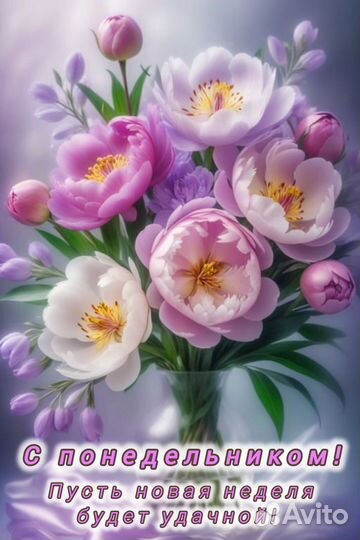 Водоросли для аквариума