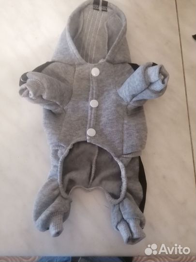 Костюм для собак