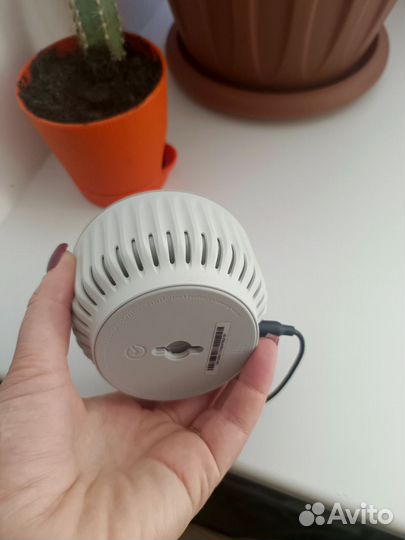 Колонка сбербум салют