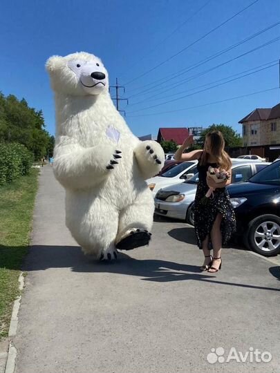 Ростовая кукла белый медведь поздравление. Панда