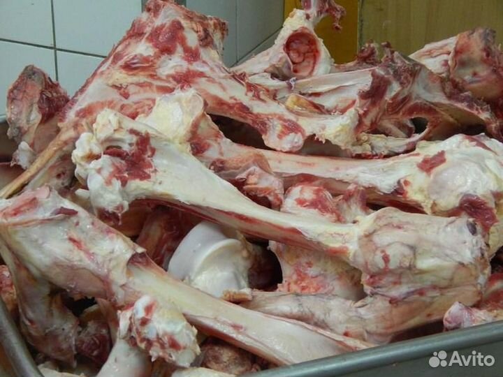 Субпродукты говяжьи, свиные и куриные