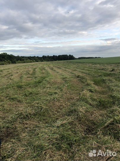 Услуги тракториста