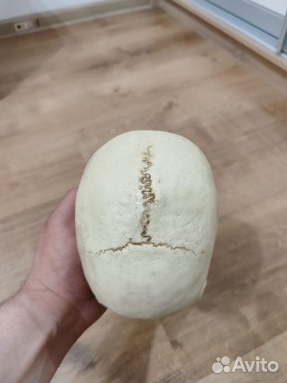 Коллекционные фигурки