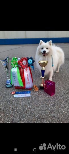 Вязка кабеля