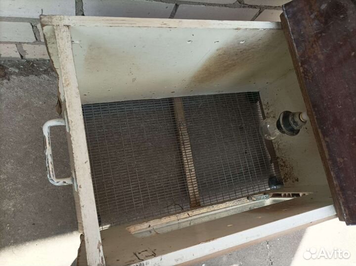 Брудер для цыплят