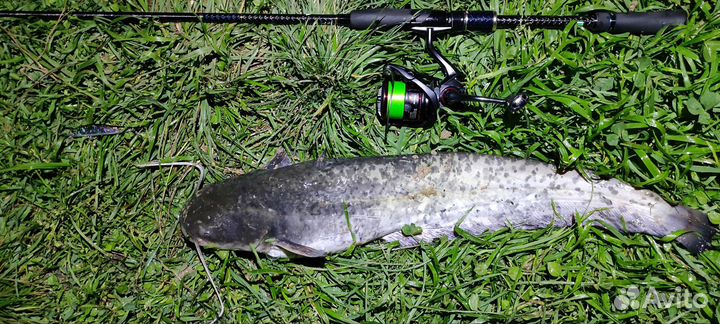 Спиннинг zetrix avalanche 2-12 и maximums anvil