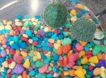 Две милые черепахи с мини аквариумом и лампой
