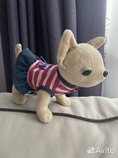 Собачка Чичилав