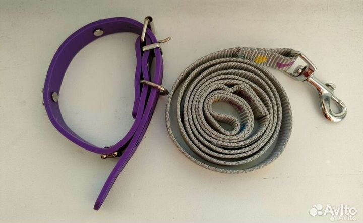 Ошейник и поводок