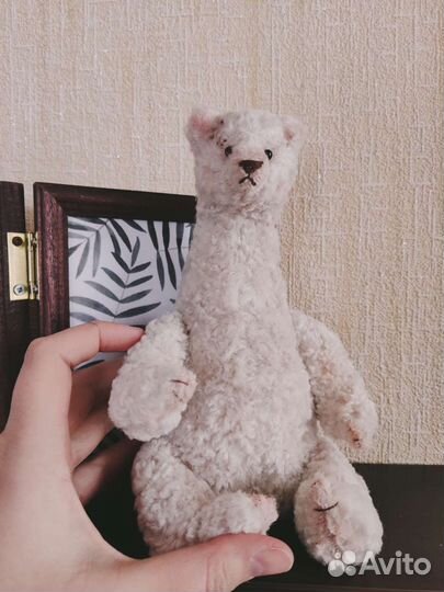 Медведь Тедди