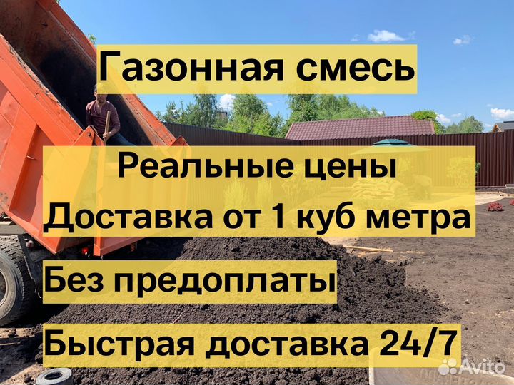 Газонная смесь